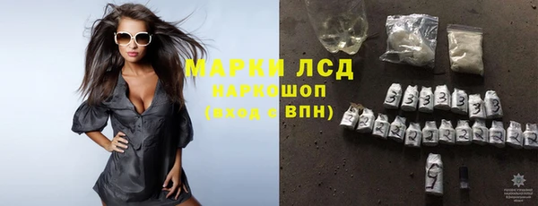 мяу мяу мука Покачи