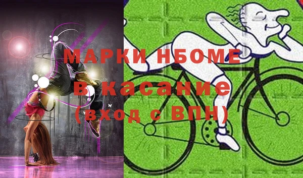 трава Устюжна