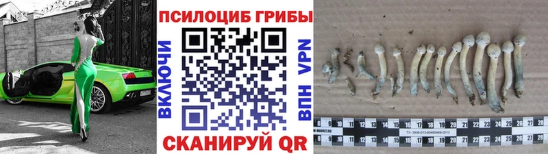 Галлюциногенные грибы MAGIC MUSHROOMS Киселёвск