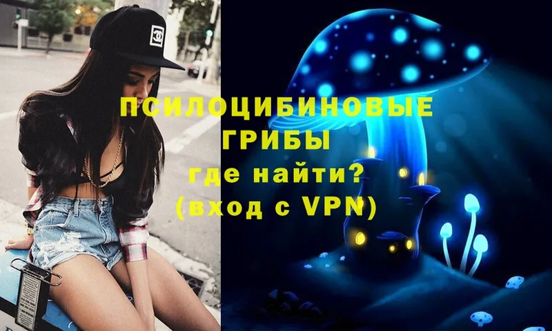 OMG вход  Киселёвск  Галлюциногенные грибы Magic Shrooms 